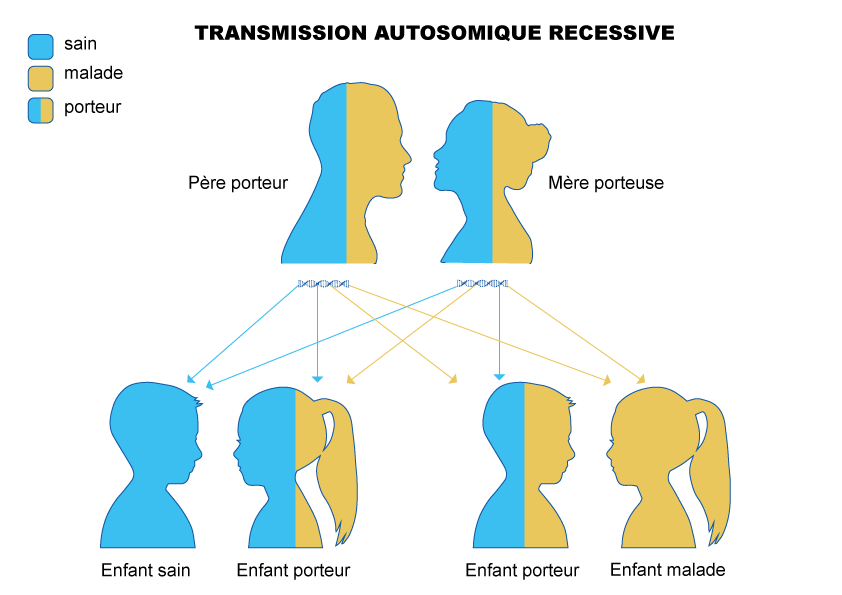 Transmission-recessive