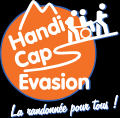 handicap-evasion