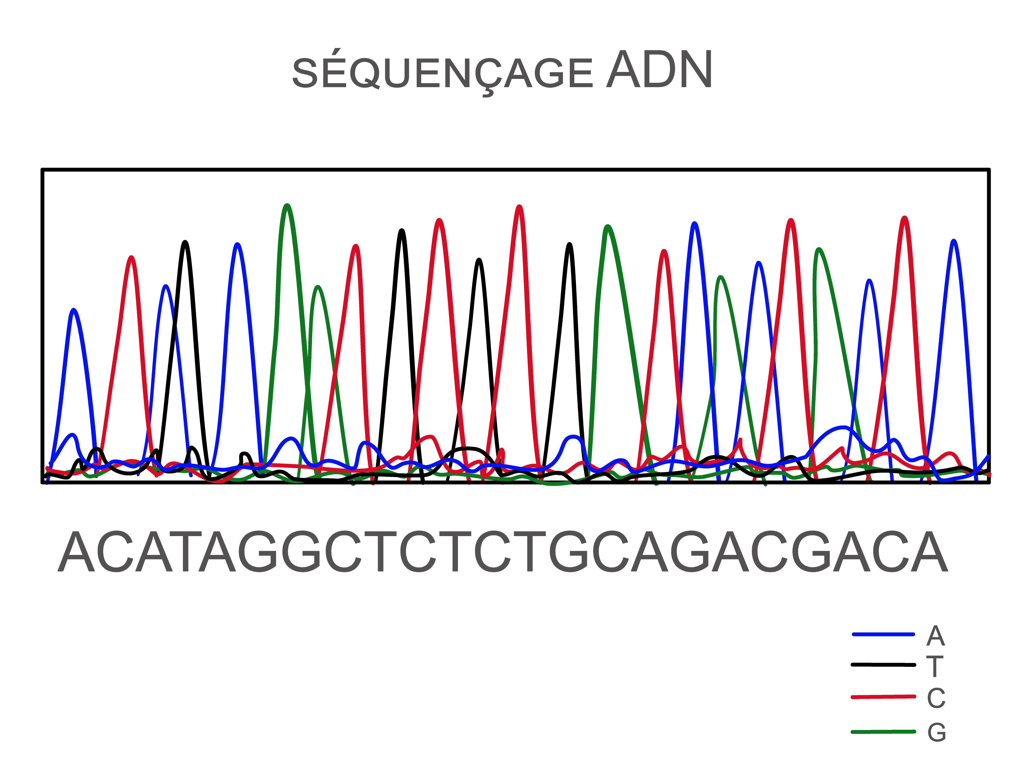 adn-sequençage