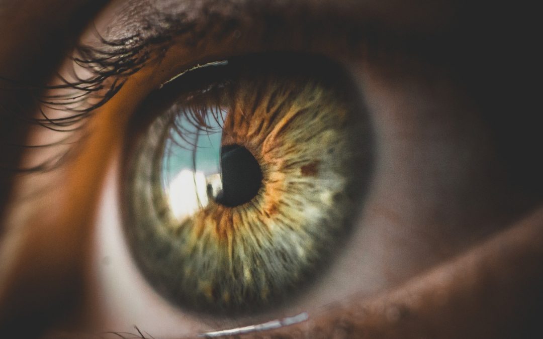 Les besoins de la rétine et leur importance pour la santé visuelle