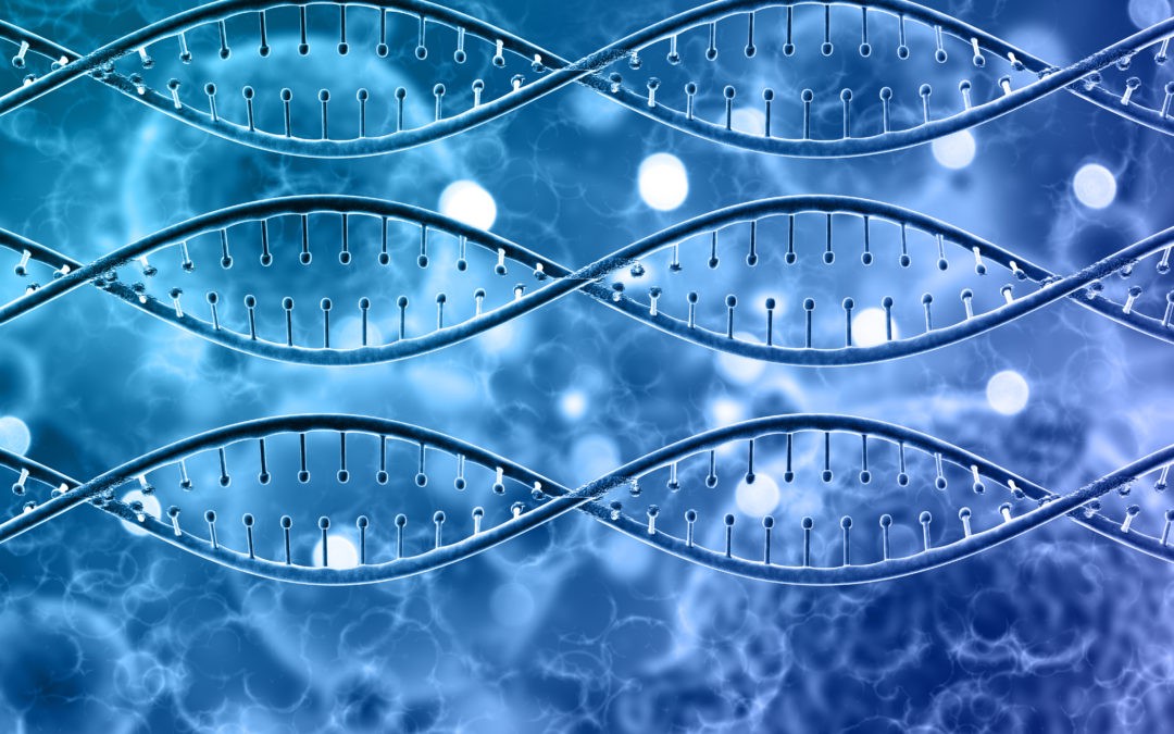 Des cellules souches au futur traitement : un espoir pour le syndrome d’Alström