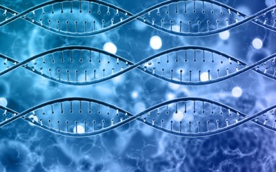 Des cellules souches au futur traitement : un espoir pour le syndrome d’Alström