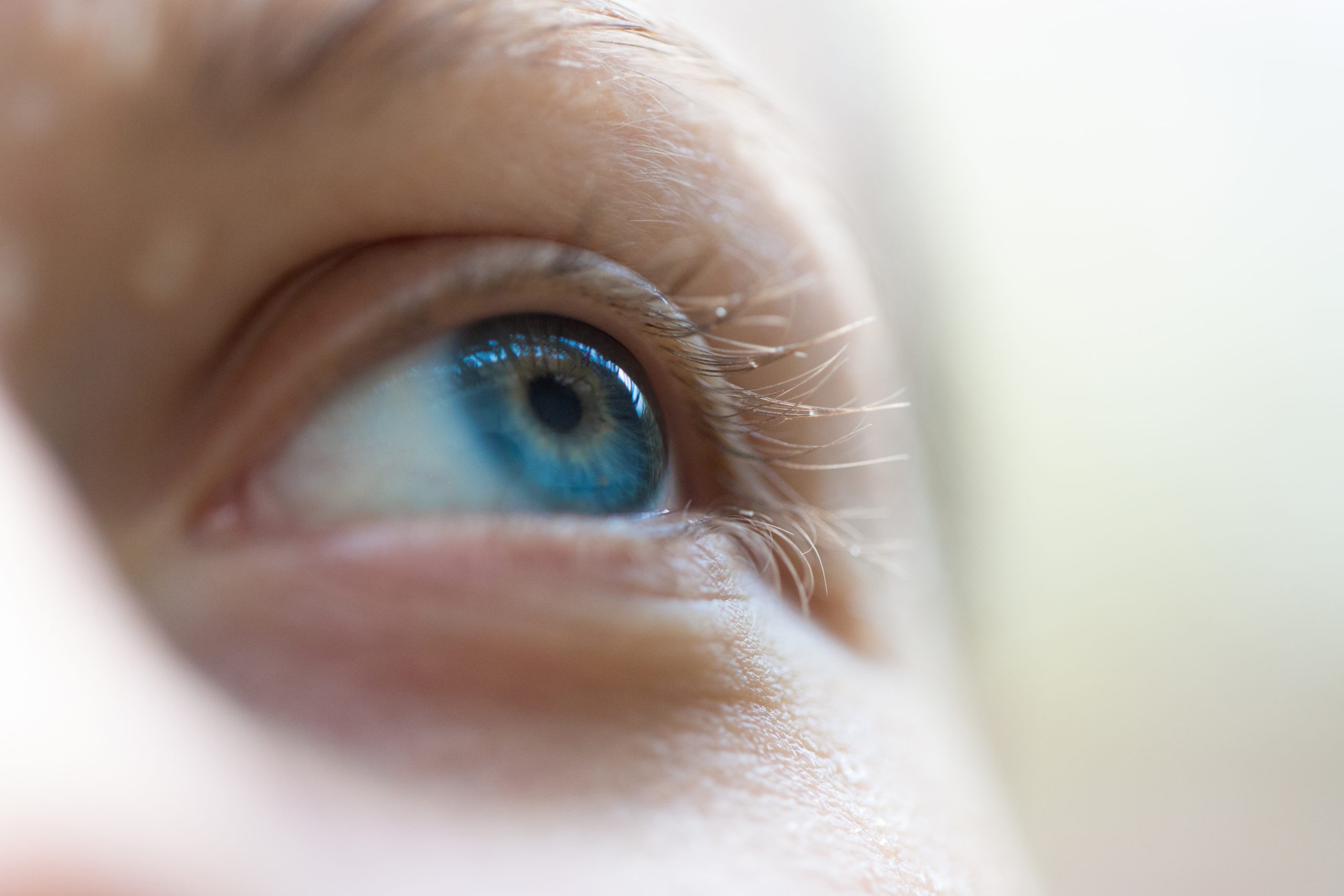 oeil